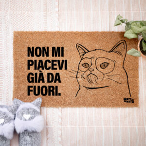 zerbino grumpy cat